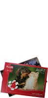 Hond Provital Accessoires Accessories Advertising material Anifit puzzel 100 stukjes 1 Stuk Anifit